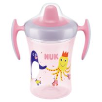NUK Evolution Trainer Cup 6MJ.+ Roza