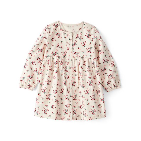 CARTER’S Haljina za djevojčice 2-5 godina